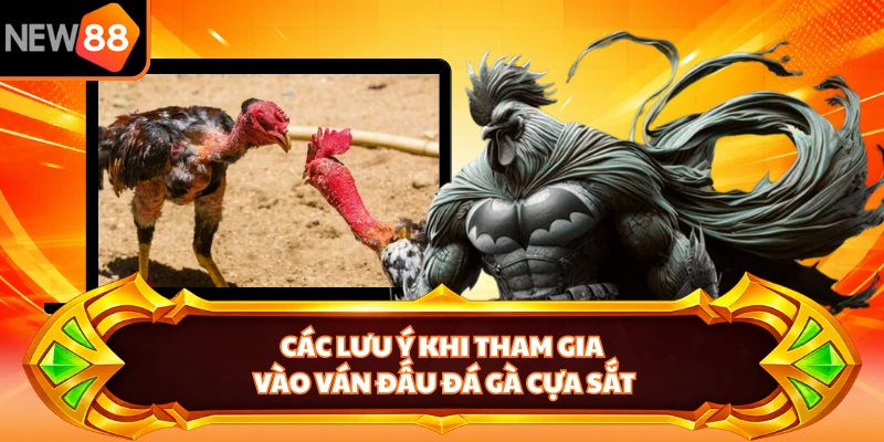 Các lưu ý khi tham gia vào ván đấu đá gà cựa sắt