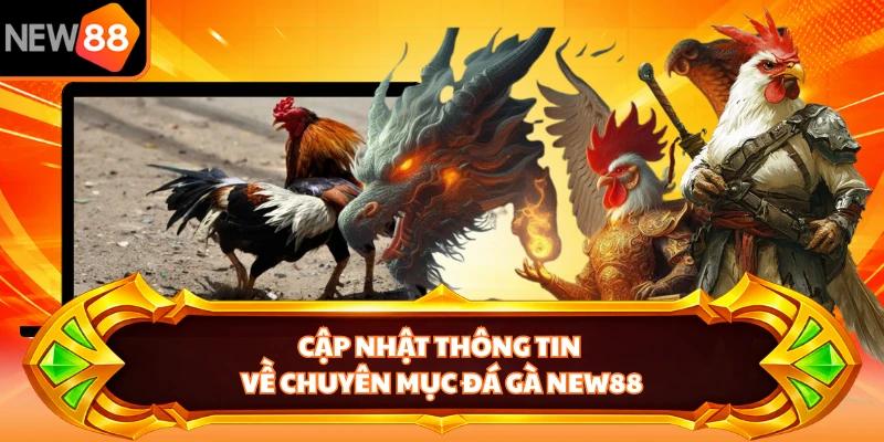 Cập nhật thông tin về chuyên mục đá gà NEW88