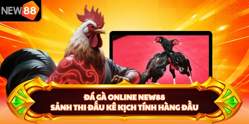 Đá Gà Online NEW88 - Sảnh Thi Đấu Kê Kịch Tính Hàng Đầu