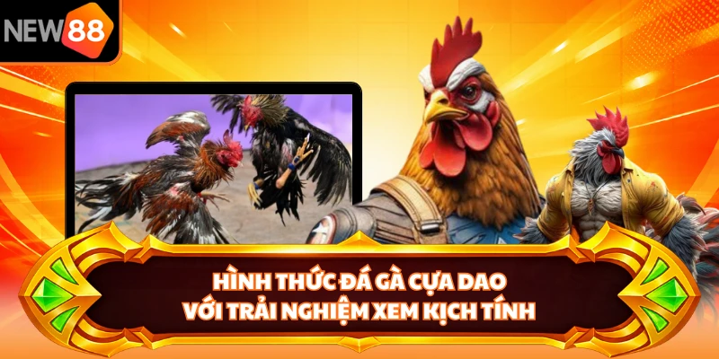 Hình thức đá gà cựa dao với trải nghiệm xem kịch tính