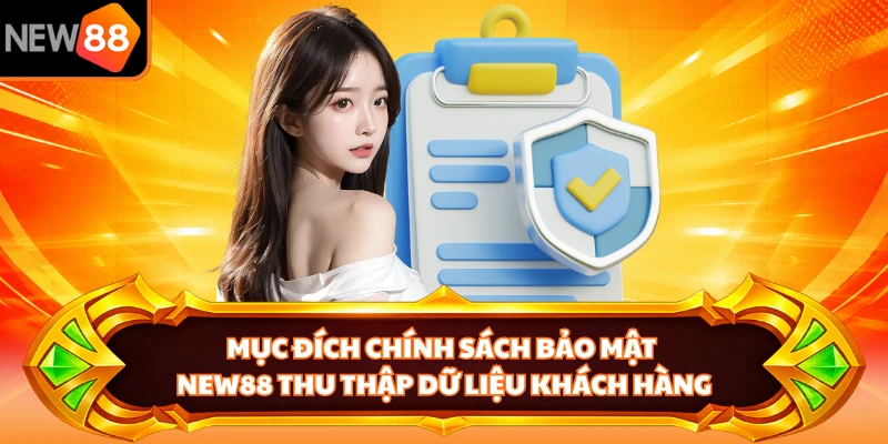 Mục đích chính sách bảo mật NEW88 thu thập dữ liệu khách hàng