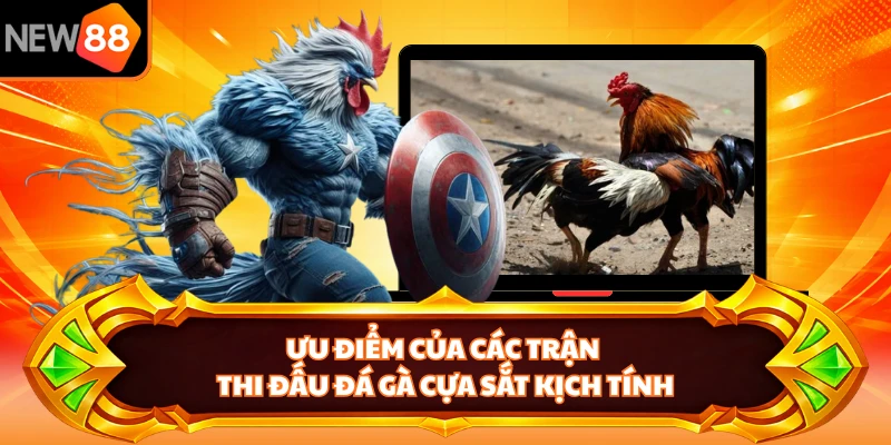 Ưu điểm của các trận thi đấu đá gà cựa sắt kịch tính